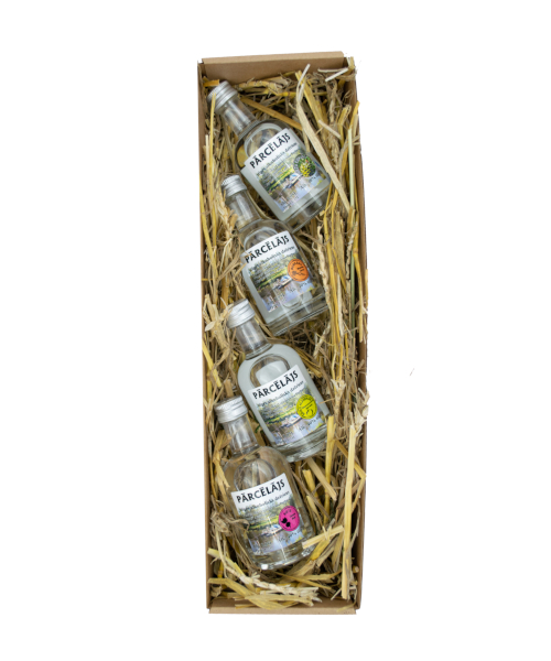 Dāvanu komplekts “4 Pārcēlāju spēks”